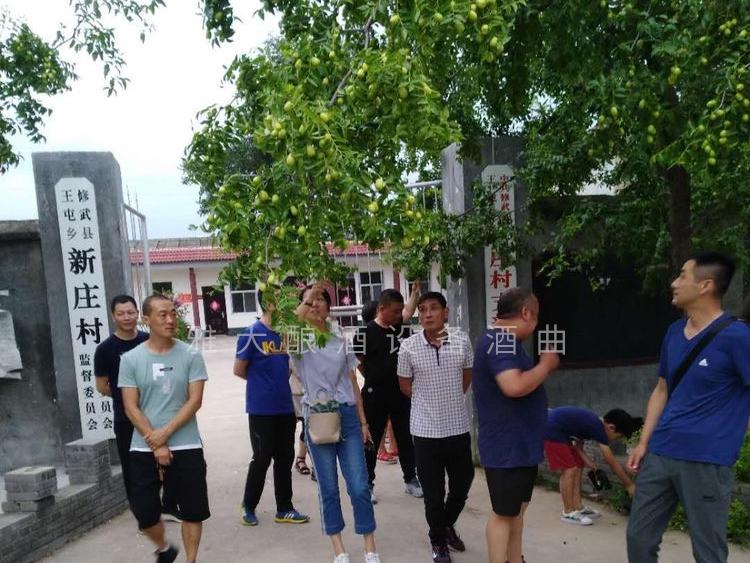 大棗每斤15元不愁賣，為什么張總還要用新型釀酒設(shè)備做紅棗酒？ 6 