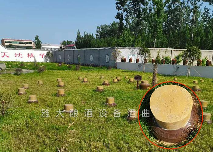 開啟“種酒”全新白酒營銷模式，打造小型酒廠釀酒設(shè)備特色純糧窖藏酒坊！ 7