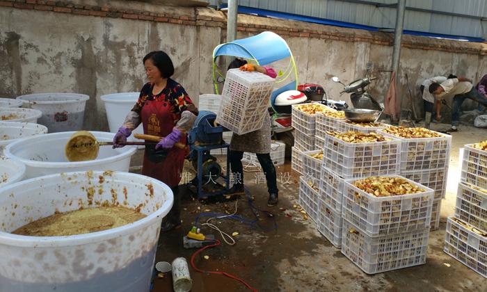 帶您走進大型釀酒設備酒廠，參觀蘋果酒釀造全過程！ 3