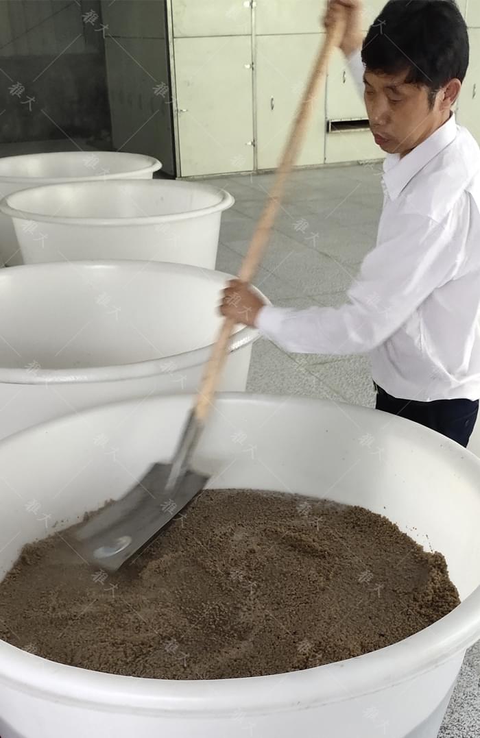 4.1蔣總現(xiàn)場(chǎng)教李總做紅薯渣酒