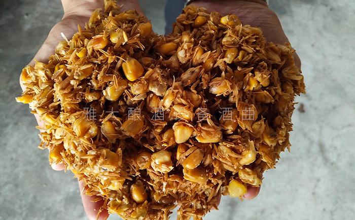 8.28玉米發(fā)酵完成后，玉米粒中無淀粉