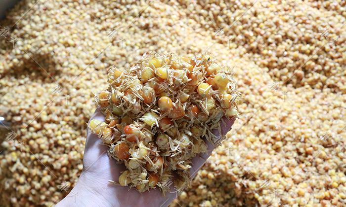 制酒設(shè)備蒸好的玉米糖化24小時(shí)，為什么還有點(diǎn)發(fā)干 酒液少 (1)