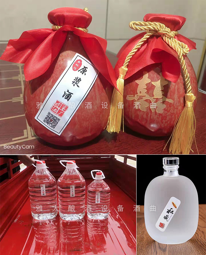 12.18致富新模式，用烤酒設(shè)備蒸酒后的酒糟飼養(yǎng)肉牛成本低，效益高-瓶裝酒