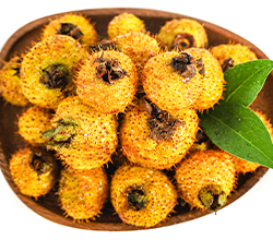 用果酒釀酒設備釀造刺梨酒，簡單易學！