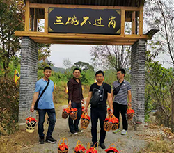 引進(jìn)小型酒廠釀酒設(shè)備升級(jí)老酒坊，武功山黑糯米酒坊變身“釀酒農(nóng)莊”