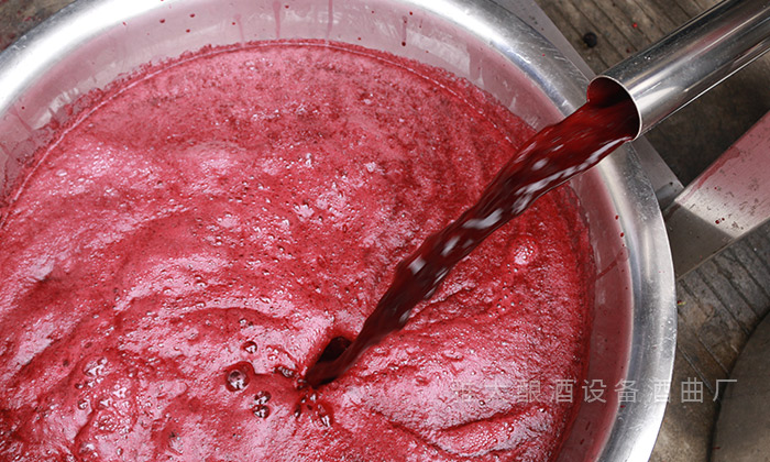 桑葚“次果”變黃金！低成本釀熱銷果酒，增收秘訣看這里！ 4