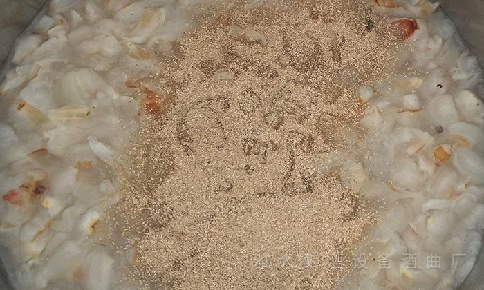 用果酒釀酒設(shè)備將滯銷荔枝釀成高端酒，利潤(rùn)翻番！ 5