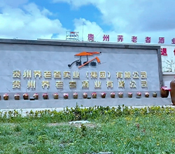 貴州苦蕎飄香，釀出鄉(xiāng)村振興“家鄉(xiāng)味道”