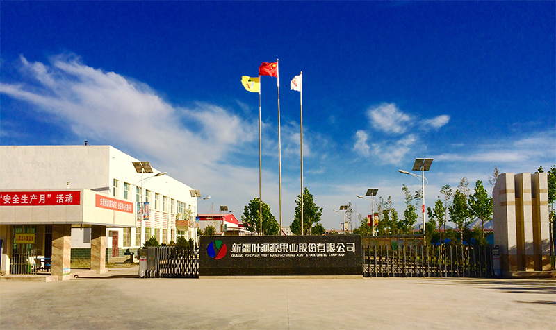 雅大釀酒設(shè)備廠(chǎng)家合作客戶(hù)新疆葉河源紅棗酒 1