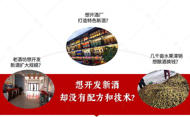 釀酒技術(shù)營(yíng)銷頁-改字體11_11